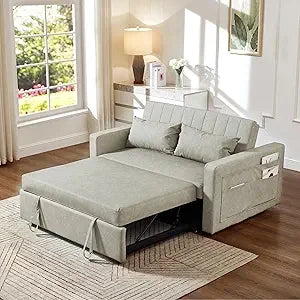 55'' Sofa Pull Out Sleeper Couch