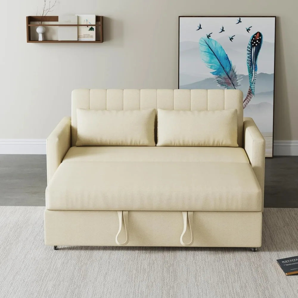 55'' Sofa Pull Out Sleeper Couch